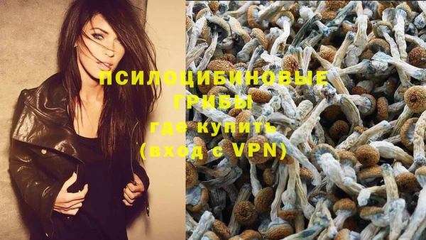 гидропоника Алзамай