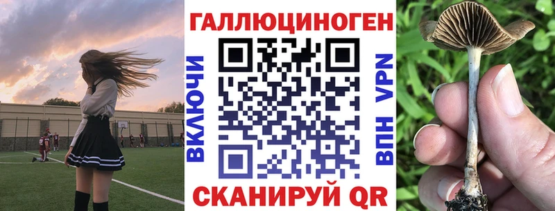 сколько стоит  Слободской  Галлюциногенные грибы GOLDEN TEACHER 
