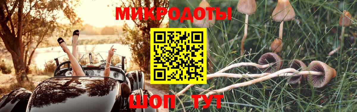 Псилоцибиновые грибы MAGIC MUSHROOMS  Вход с VPN  Слободской  Галлюциногенные грибы мицелий 